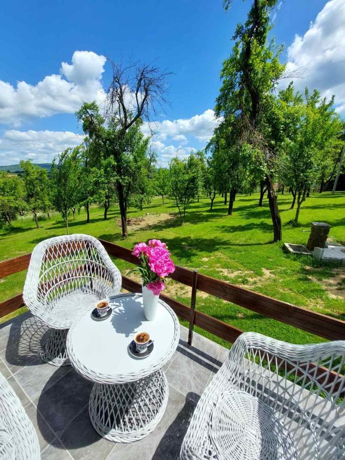 Vikendica Gaj Villa Gornji Milanovac Luaran gambar