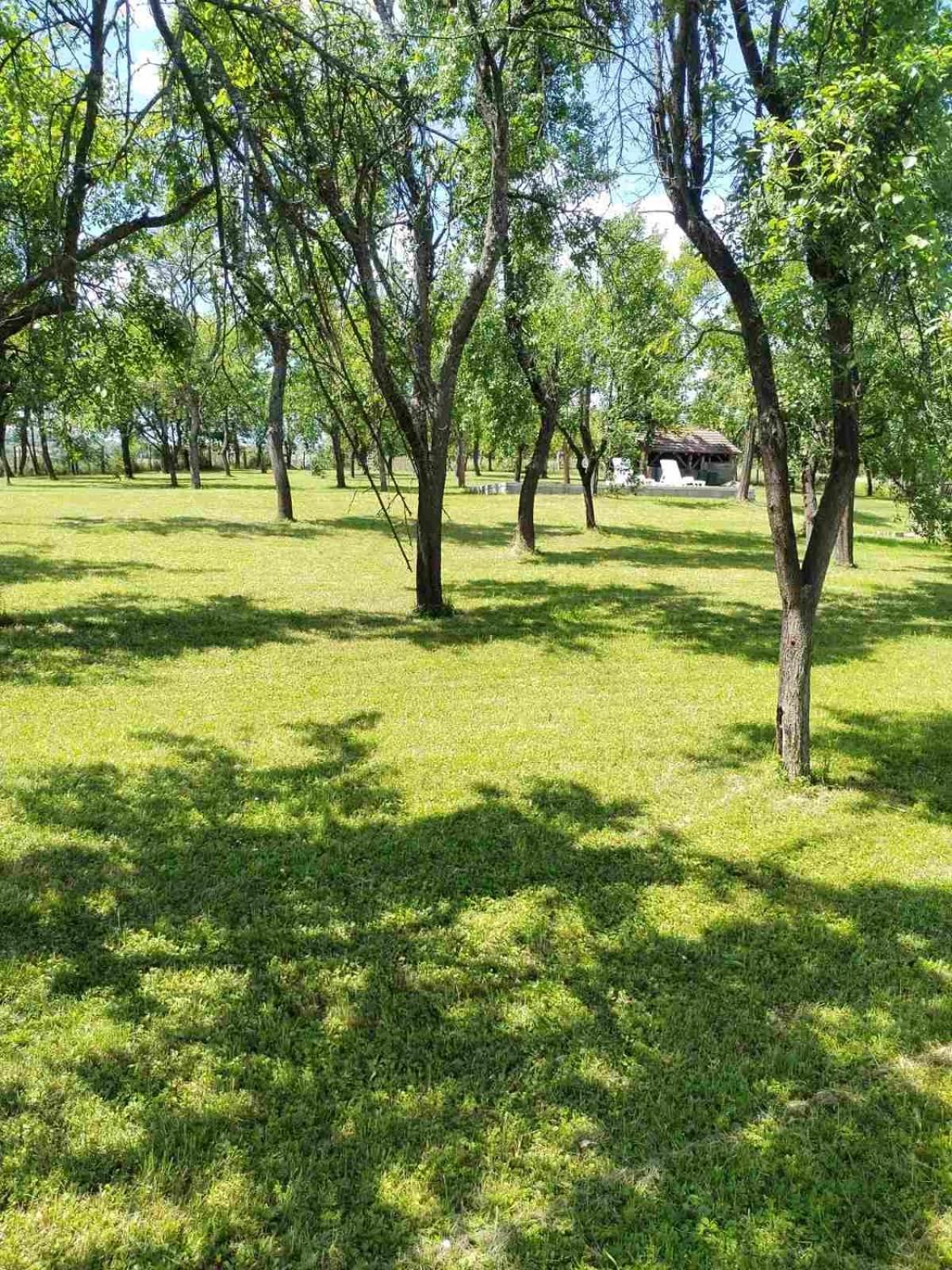 Vikendica Gaj Villa Gornji Milanovac Luaran gambar